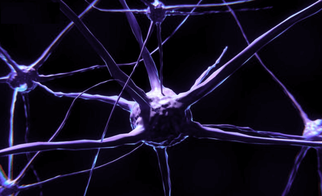 머스크의 뉴럴링크(Neuralink)는 무엇인가?