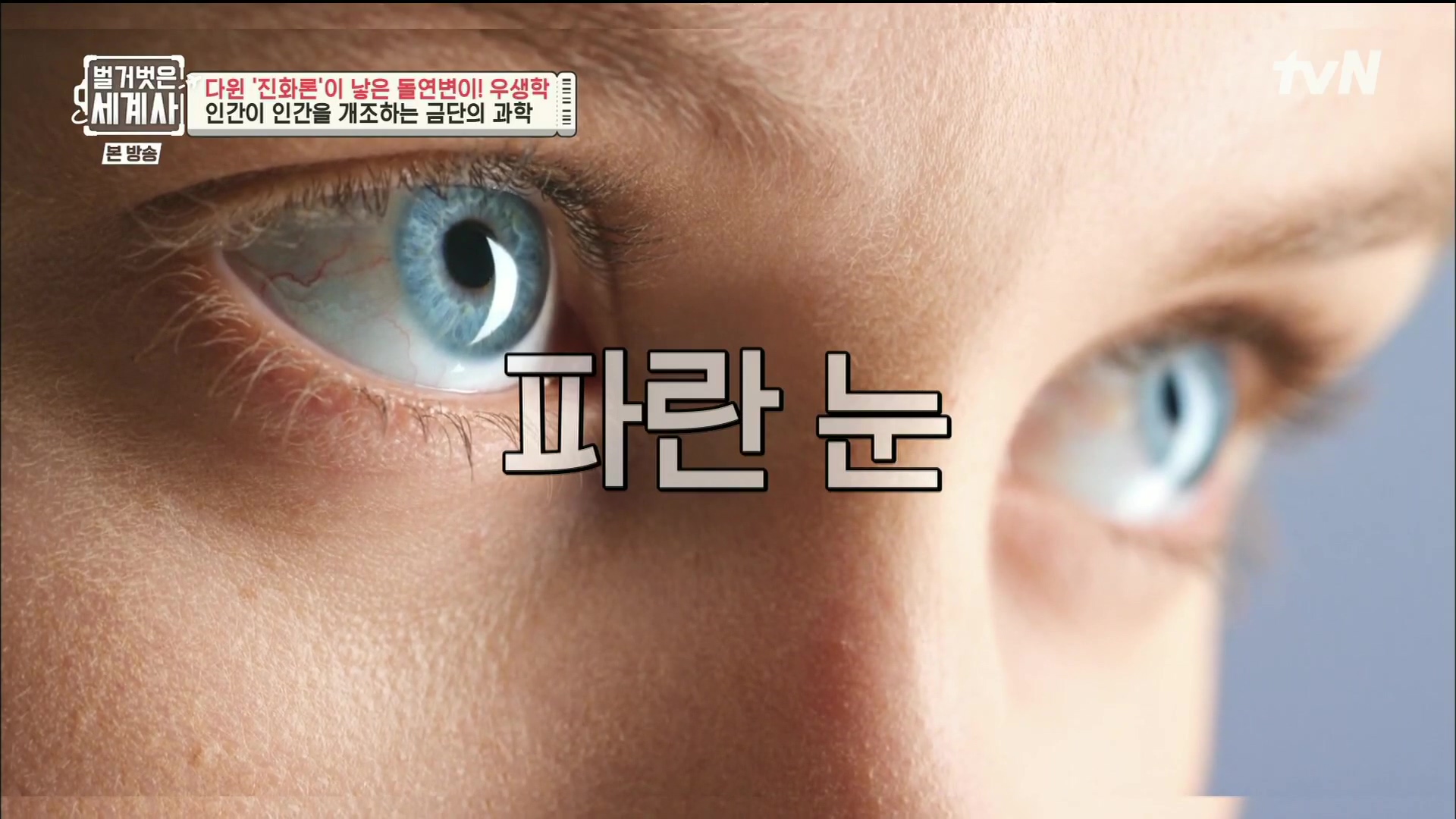 벌거벗은 세계사.E97.230502p.H264-F1RST.mp4_20231224_161958.848.jpg