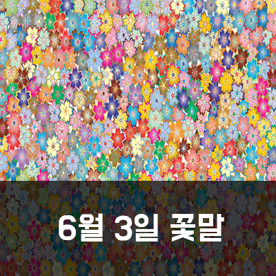  6월 3일 탄생화