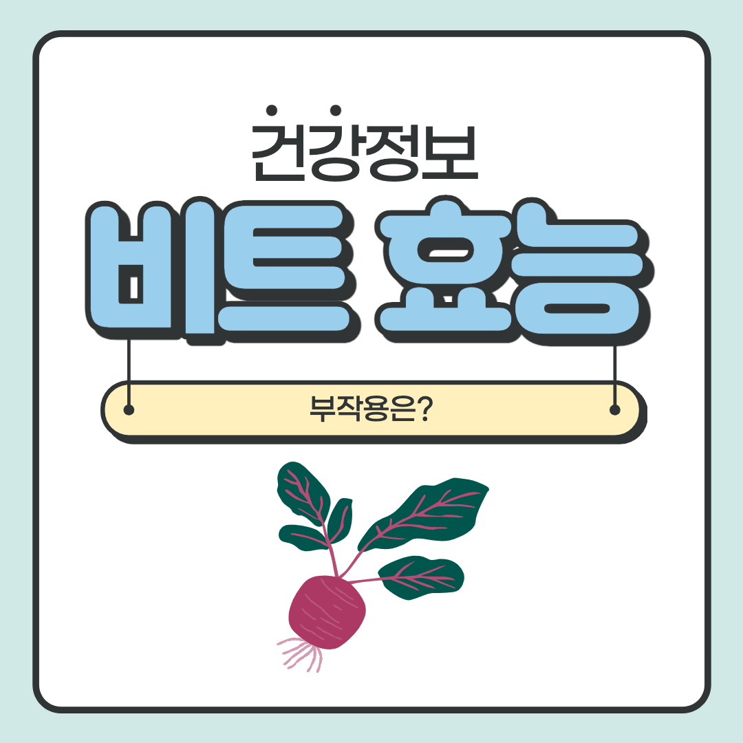  비트효능 및 부작용