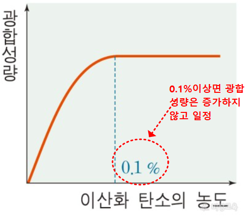 광합성량과 이산화탄소의 농도