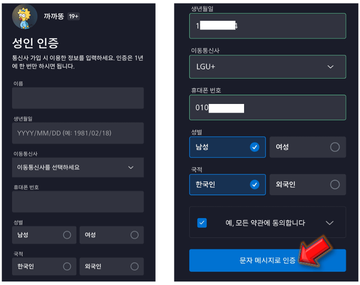 디즈니 플러스 성인인증 1분이면 끝 디즈니 플러스 성인인증 1분이면 끝