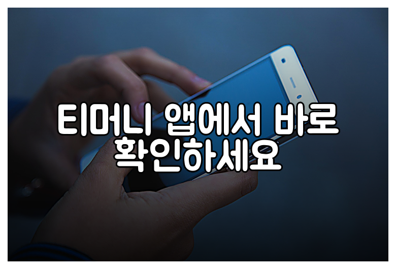 티머니 앱에서 바로 확인하세요