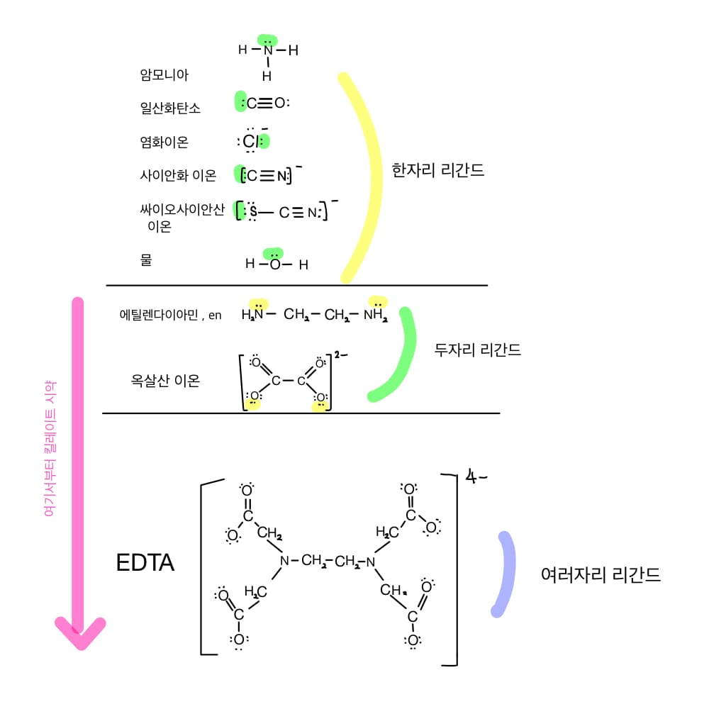  리간드의 종류 (Types of Ligand) 와 배위수  