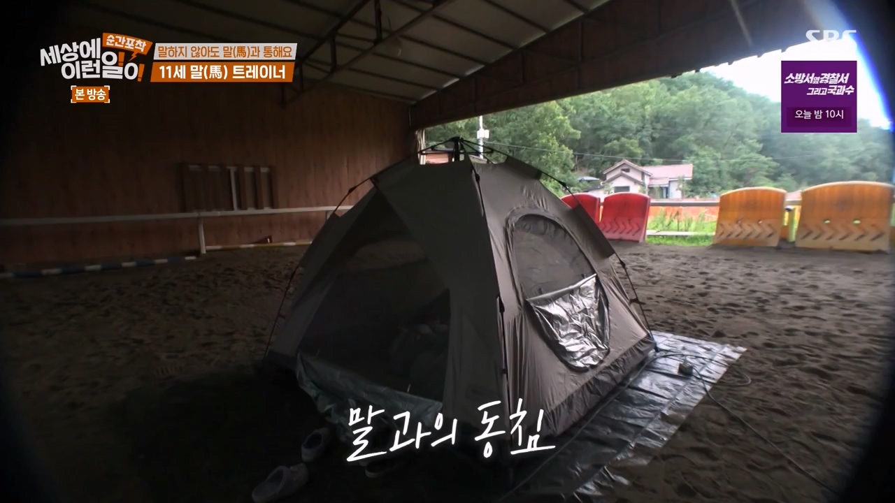 순간포착 세상에 이런일이.E1240.230806p-NEXT.mp4_20230806_161417.417.jpg