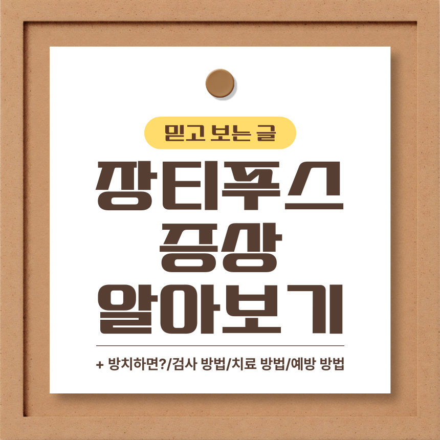  장티푸스 증상 알아보기