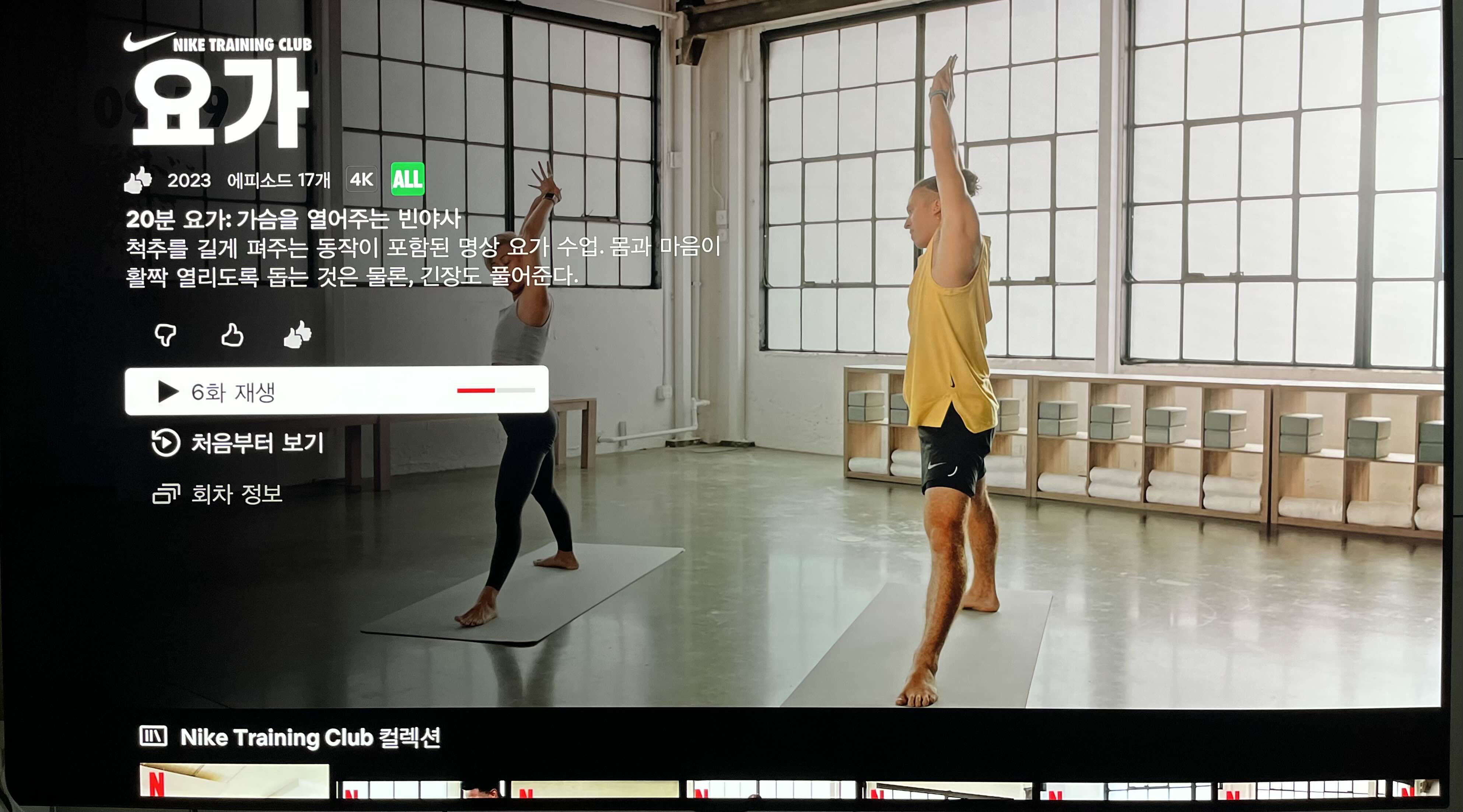  [넷플릭스 요가 리뷰] "가슴을 열어주는 빈야사"
