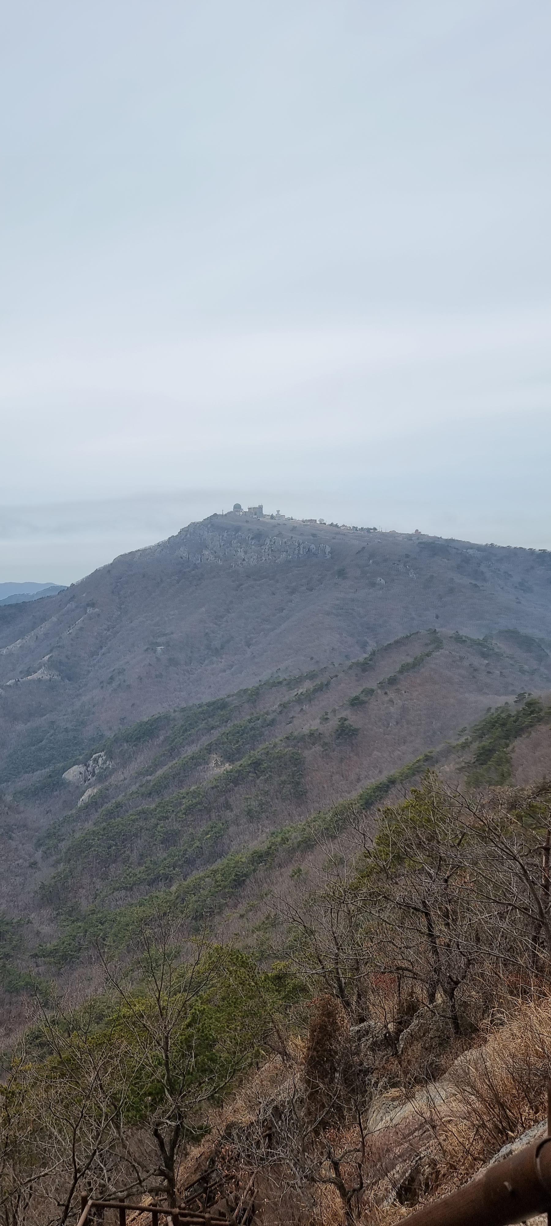 변산바람꽃 23