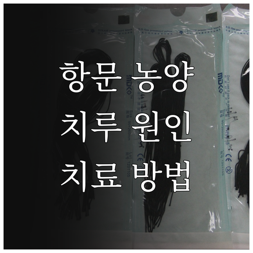 항문 주위 농양, 치루 원인, 증상,