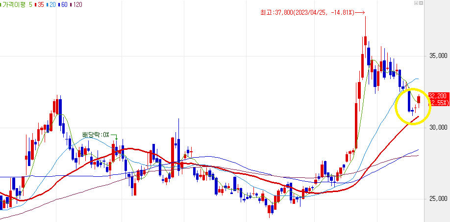 이동평균선 35일을 지지하며 반등하는 일봉 차트