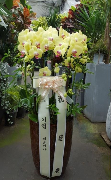 금성장례식장 이미지
