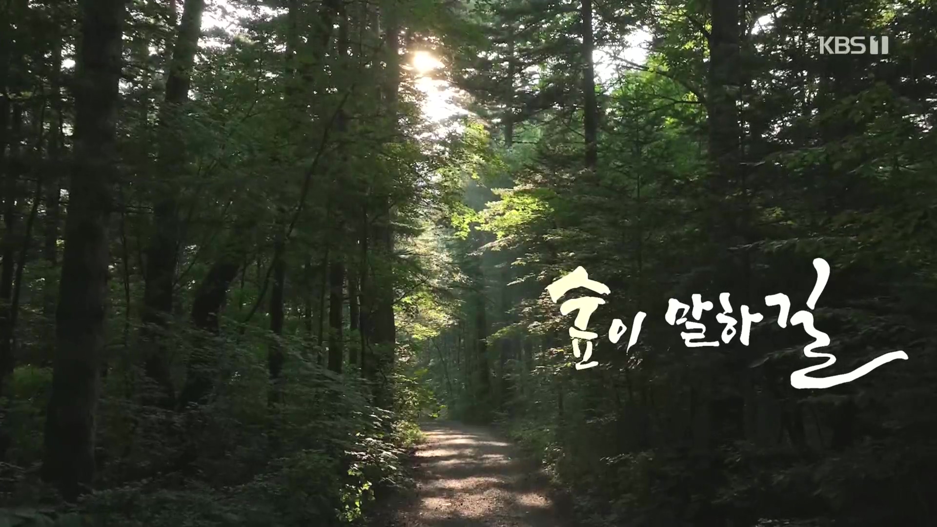 다큐 인사이트.E176.231214p.H264-F1RST.mp4_20231215_203159.104.jpg