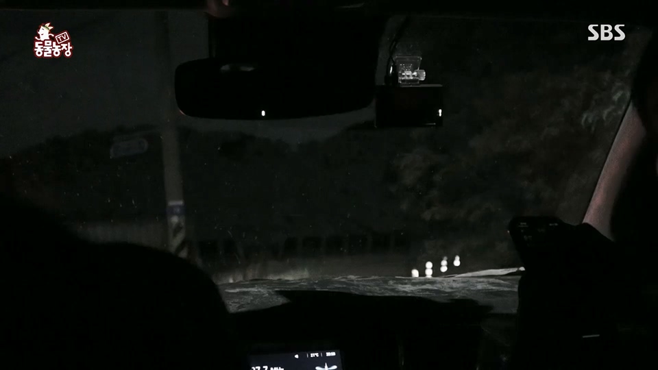 TV 동물농장.E1129.230716p.H264-F1RST.mp4_20230716_183633.852.jpg