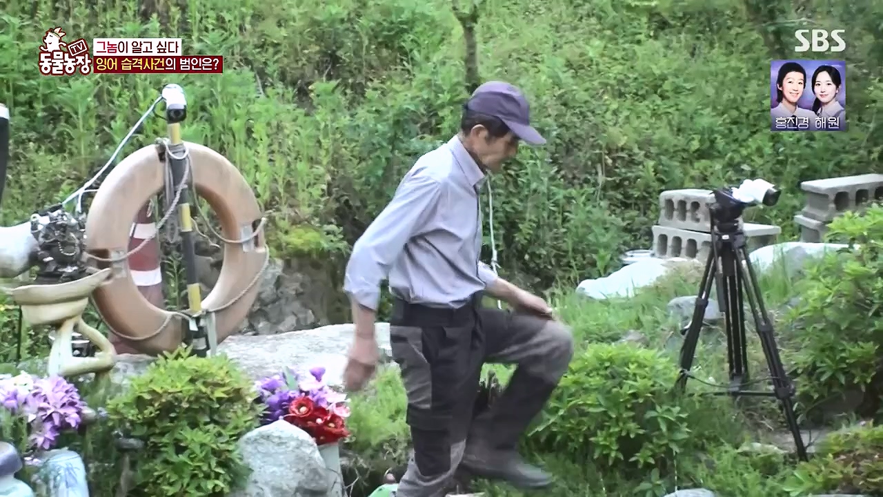 TV 동물농장.E1178.240630.ts_20240630_164647.035.jpg