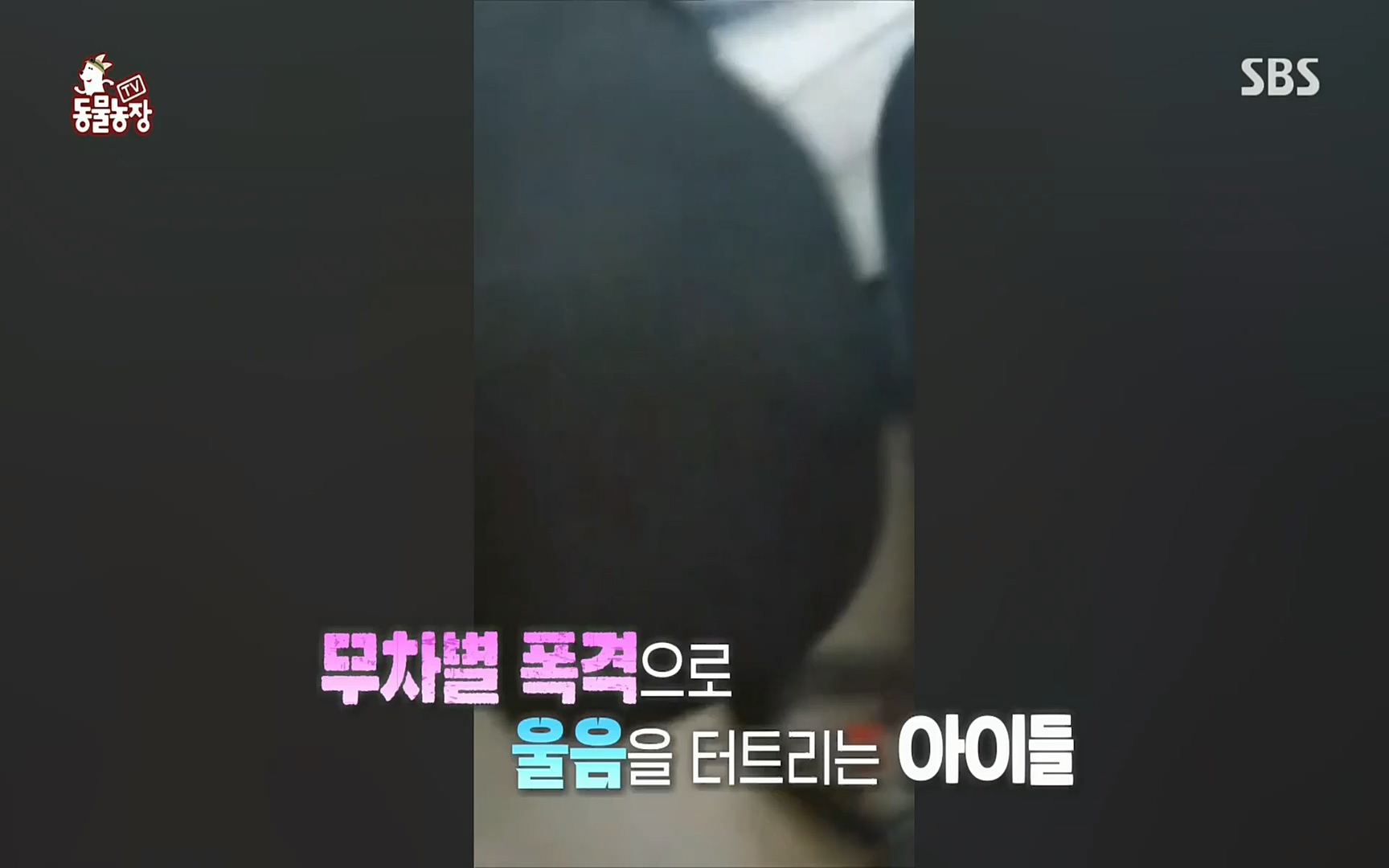 TV 동물농장.E1062.220327p.H264-F1RST.mp4_20220327_174406.063.jpg