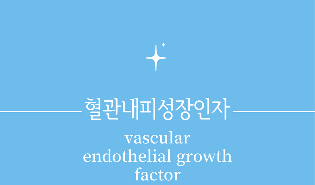 &#39;혈관내피 성장인자(VEGF&#44;vascular endothelial growth factor)&#39;