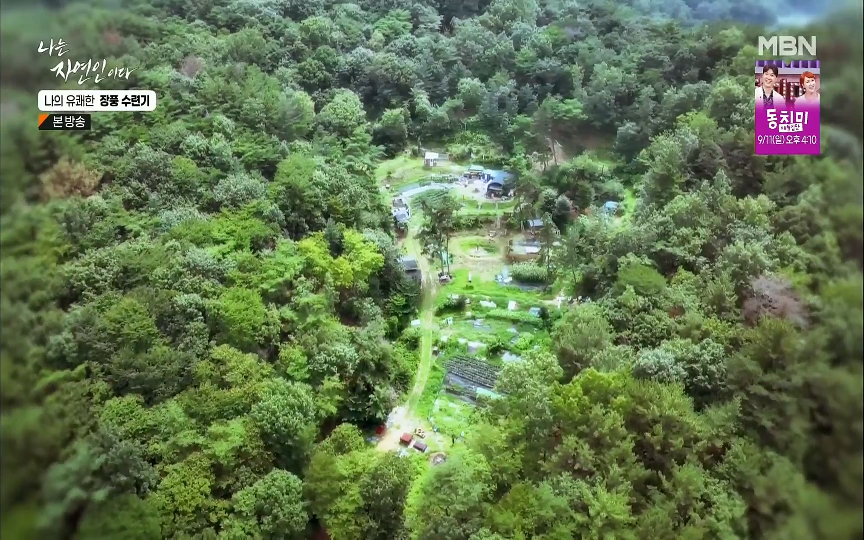 나는 자연인이다.E517.220831p.H264-F1RST.mp4_20220901_200946.432.jpg