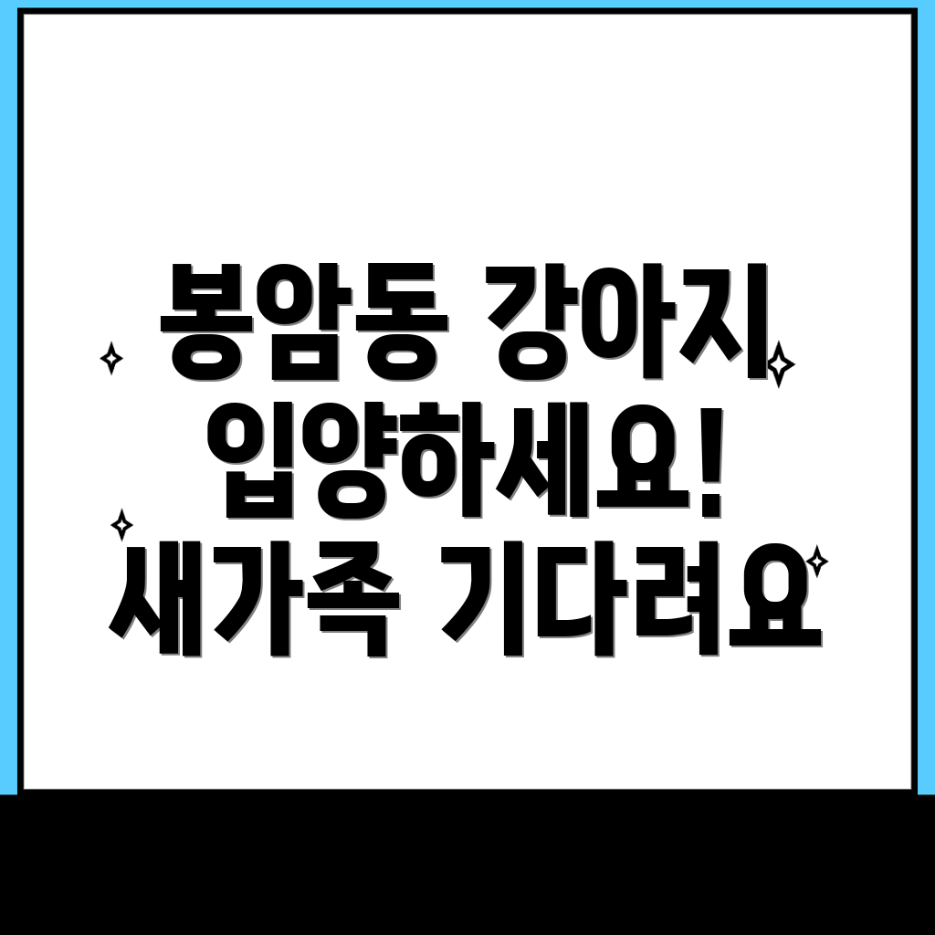 강아지 입양