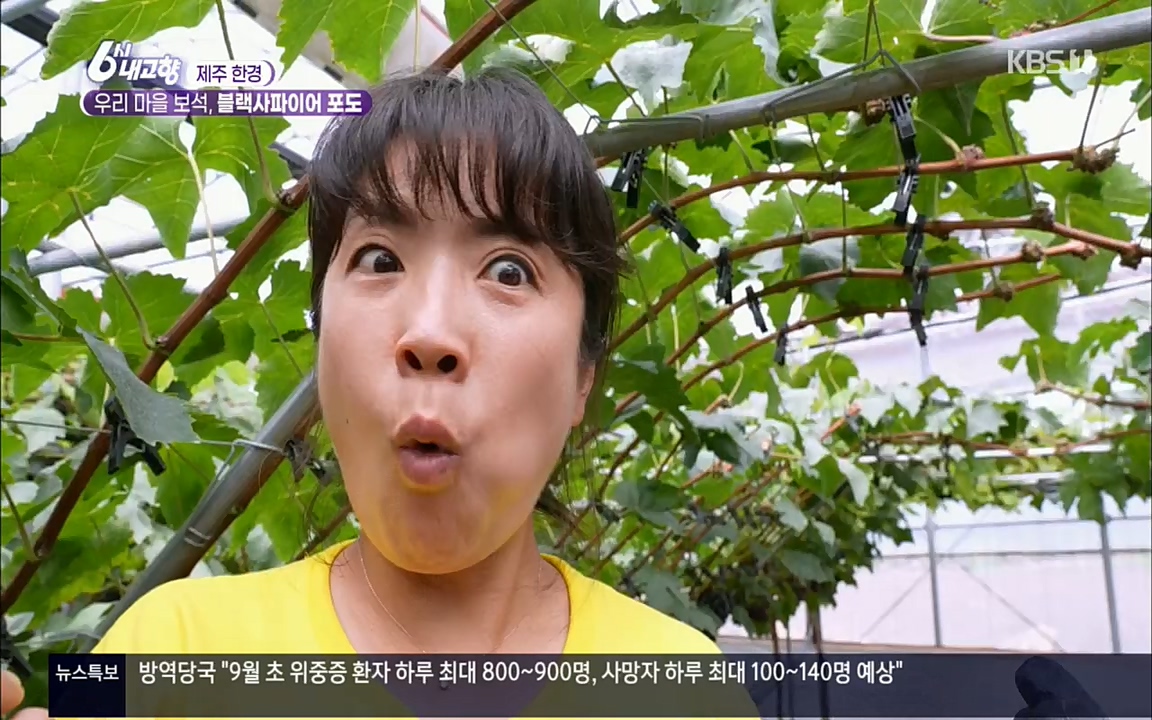 6시 내고향.E7602.220824p.H264-F1RST.mp4_20220825_171306.938.jpg