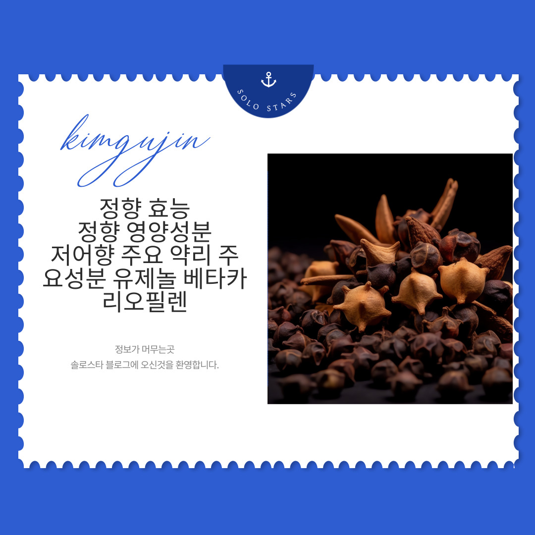 정향 사진