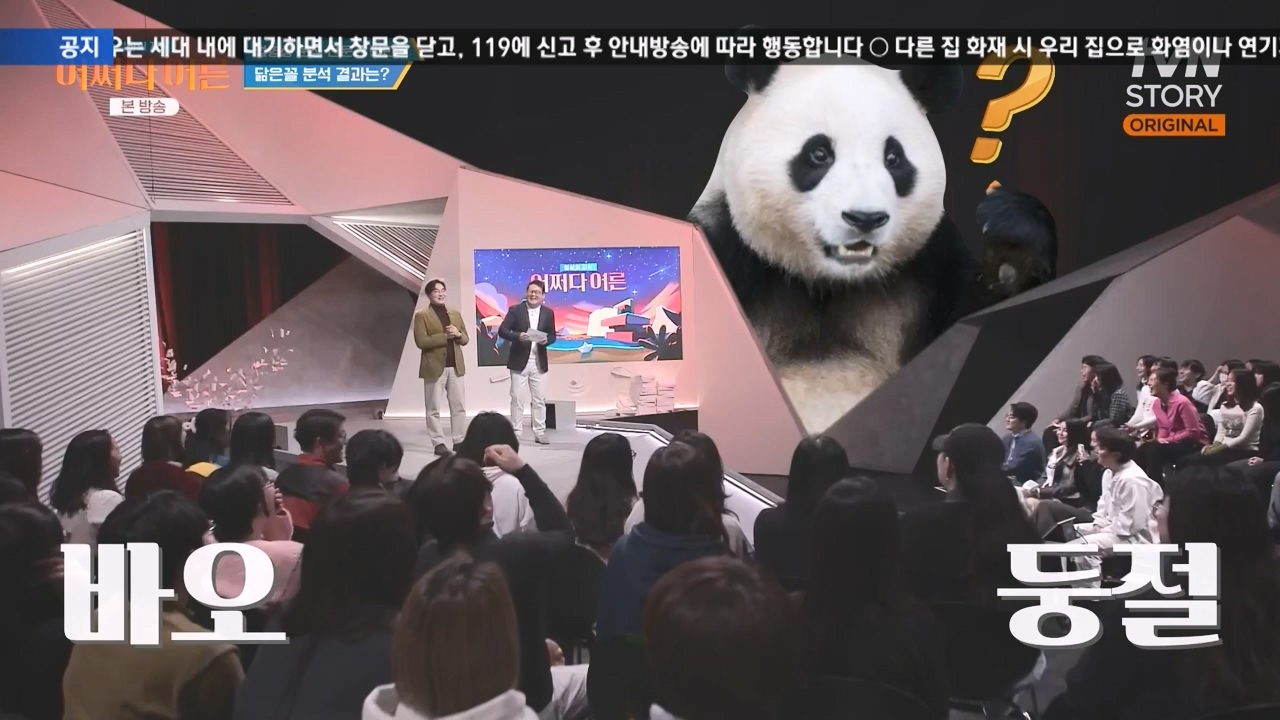 어쩌다 어른.E43.240214p-NEXT.mp4_20240214_204025.300.jpg