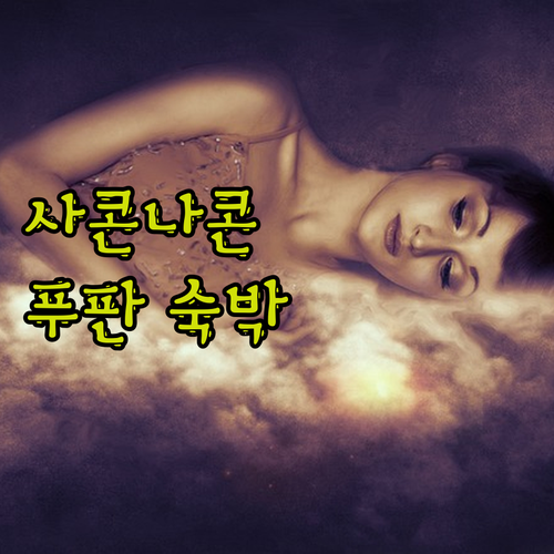 사콘나콘 푸판플레이스 호텔 숙박 후기