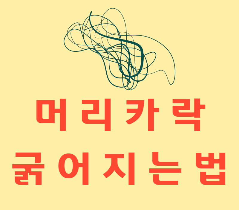  머리카락 굵어지는 방법 정보모음