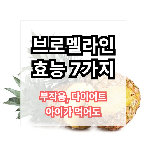 브로멜라인비문증영양제