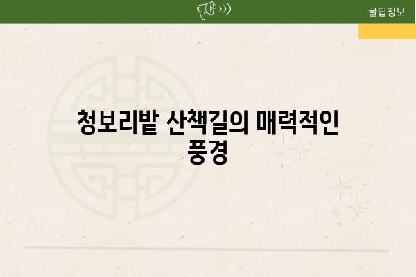 청보리밭 산책길의 매력적인 풍경