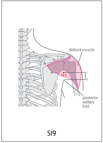 수태양소장경(SI) > SI9 견정 (肩貞) 1