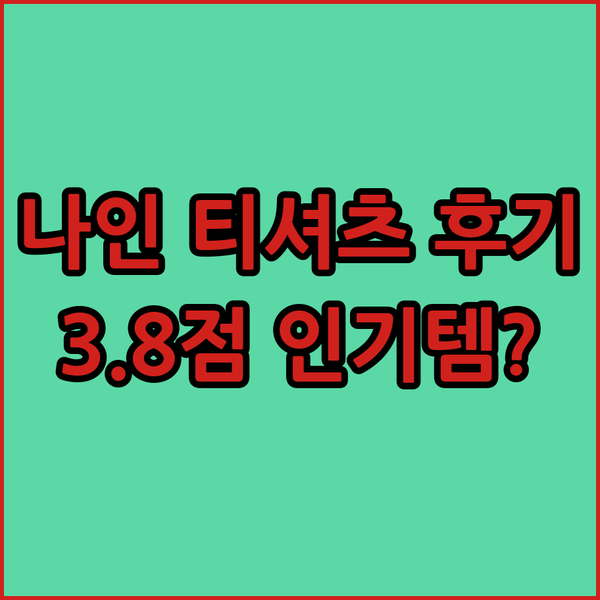 나인 레터링 루즈핏 티 후기.. 3.