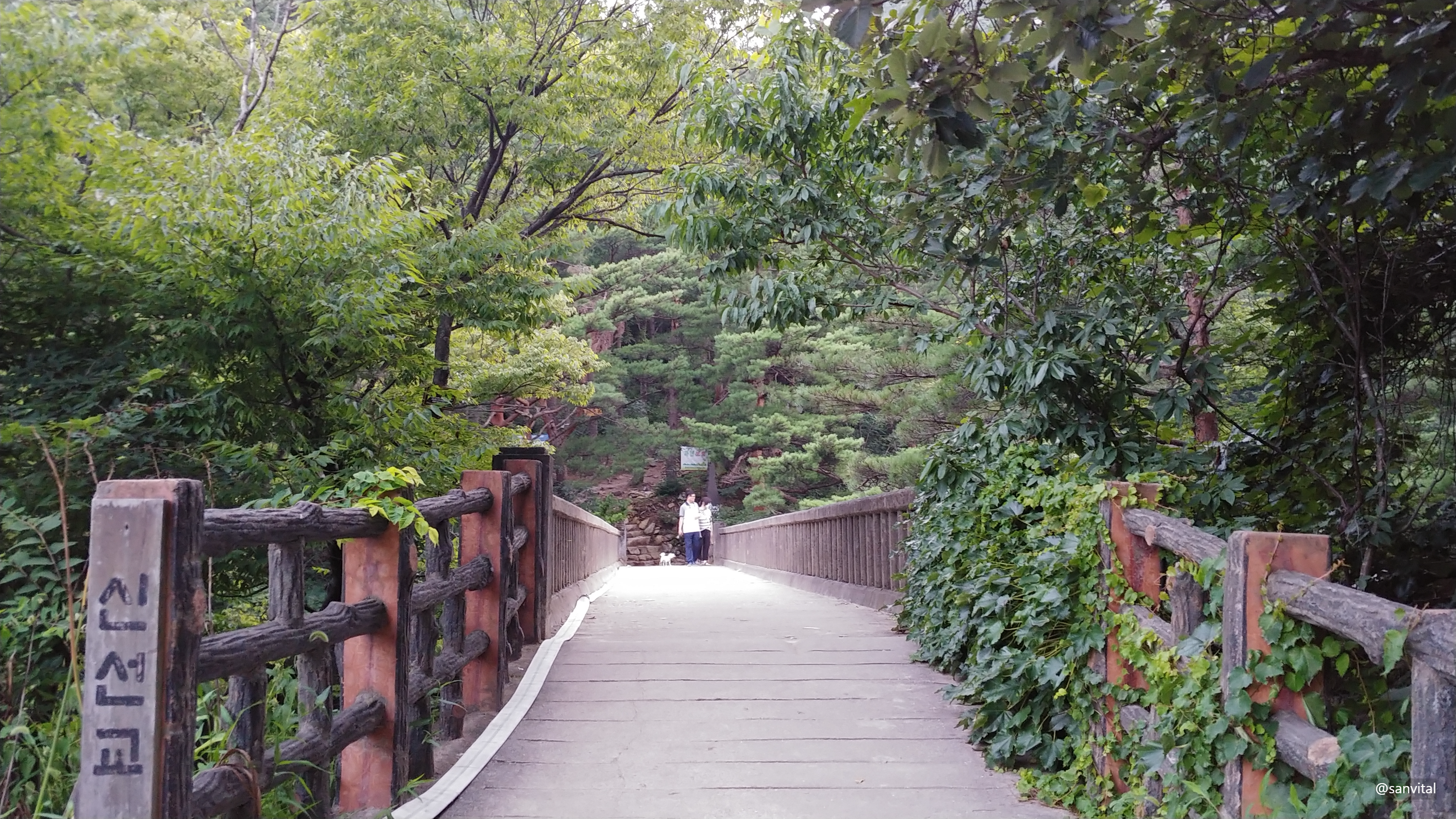 두타산 산행 들머리
