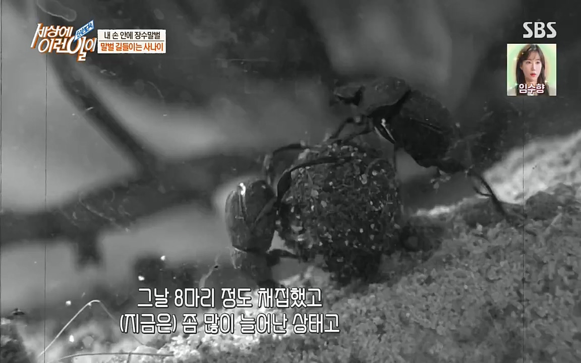 순간포착 세상에 이런일이.E1180.220518p-NEXT.mp4_20220518_181619.855.jpg