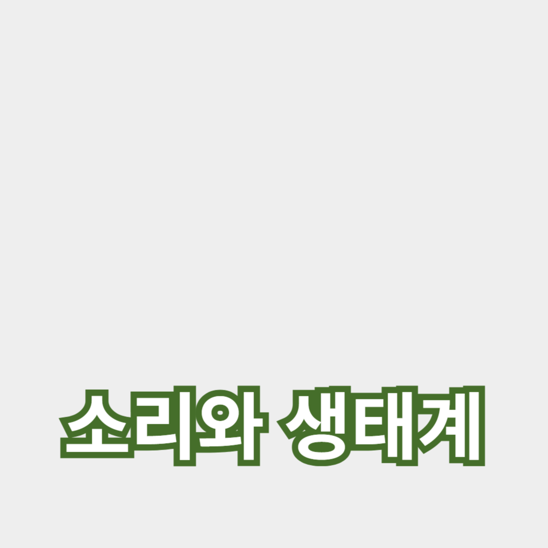 자연 속에서 일상의 아름다움 발견하기