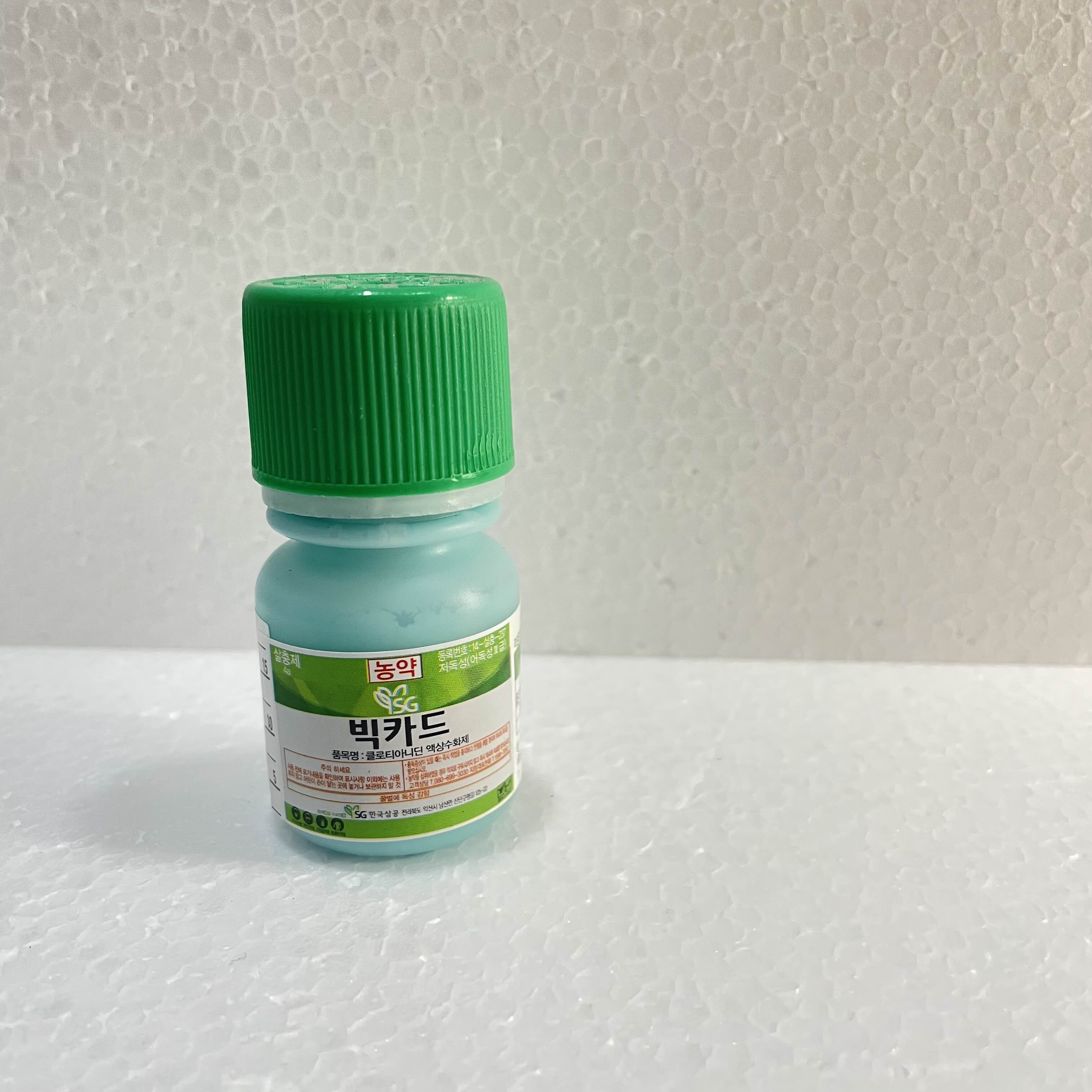  여름철 뿌리파리 빅카드로 박멸하기