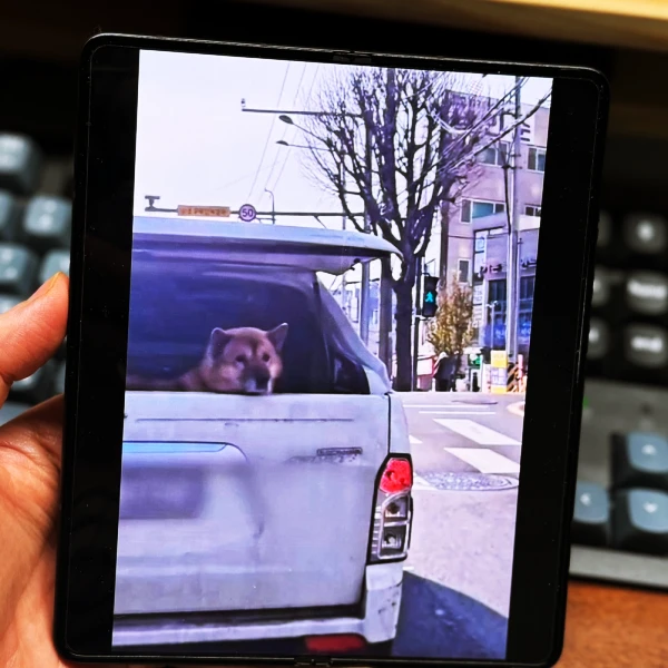 캡컷-번호판-모자이크-모바일