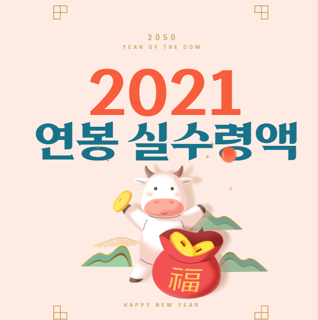  연봉 실수령액 알아보자(+2021년)