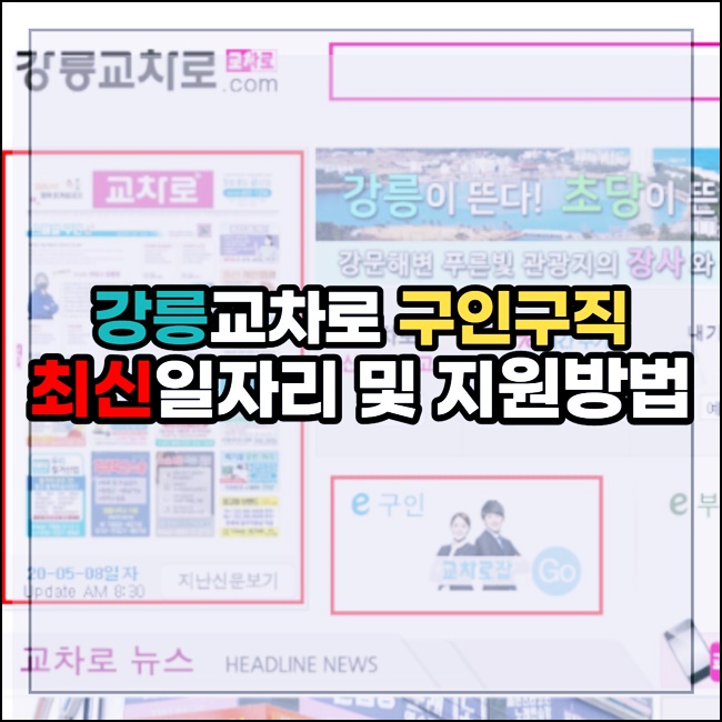 강릉교차로 구인구직