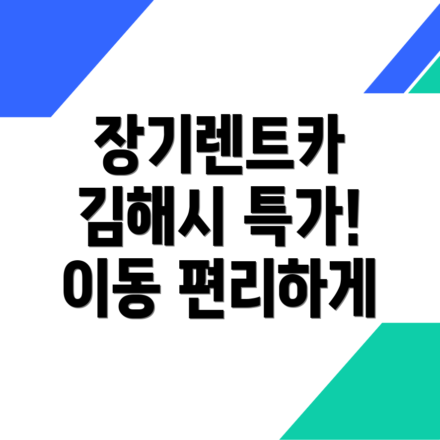 김해시 장기렌트카