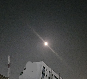자신-조절-자아-셀프-컨트롤-마음-성장-시작
