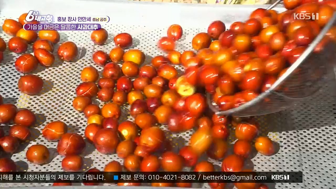 6시 내고향.E7640.221019p.H264-F1RST.mp4_20221020_170105.277.jpg