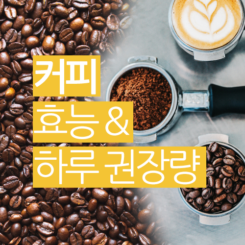  커피의 효능과 하루 권장량은?