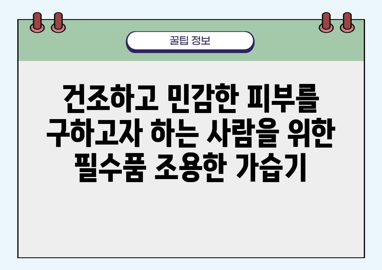 건조하고 민감한 피부를 구하고자 하는 사람을 위한 필수품 조용한 가습기