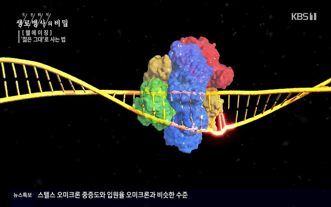 생로병사의 비밀.E817.220407p-NEXT.mp4_20220407_183734.940.jpg
