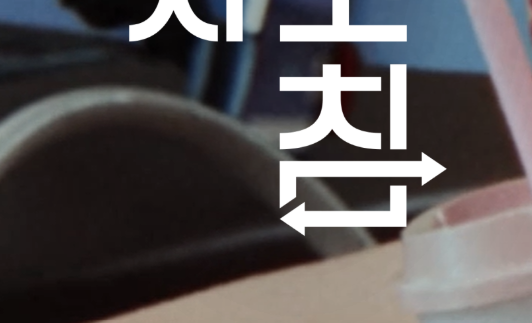 헤이딜러