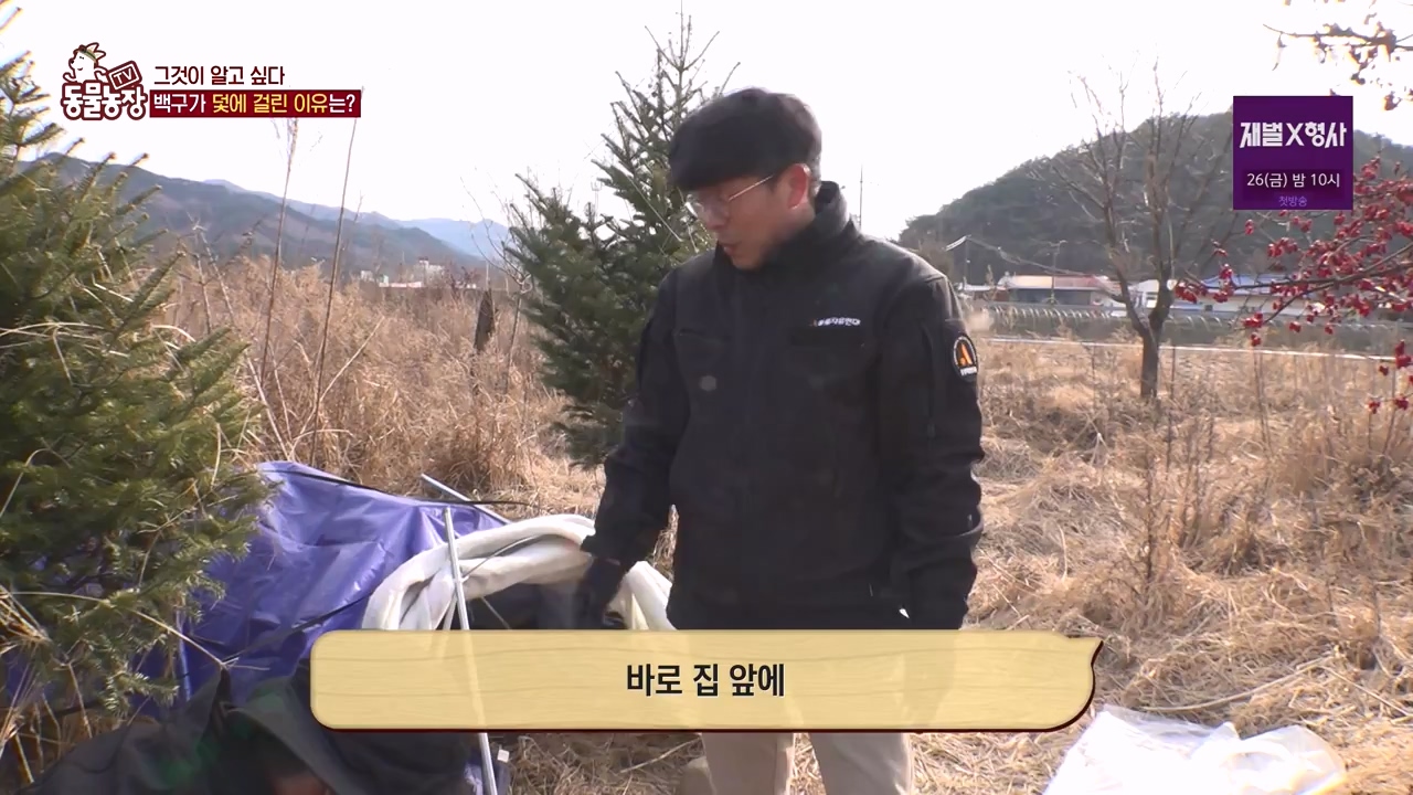 TV 동물농장.E1155.240122p-NEXT.mp4_20240121_145931.367.jpg