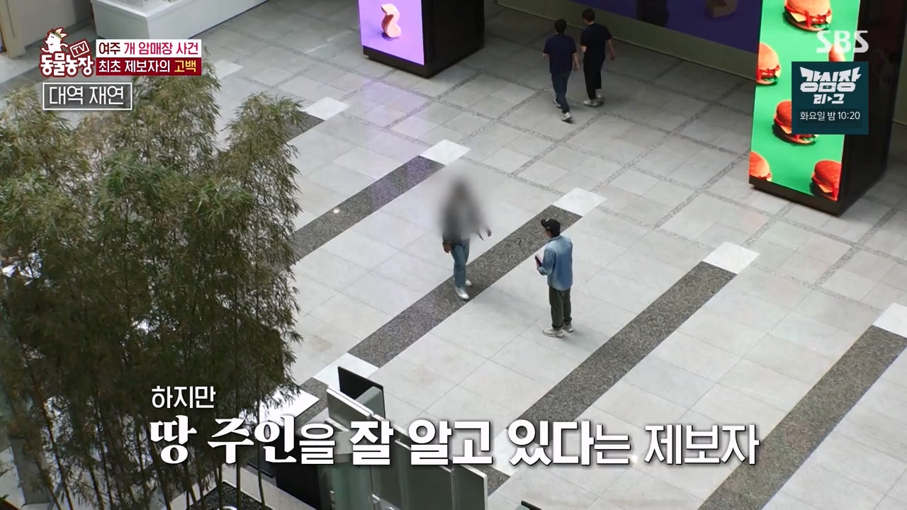 TV 동물농장.E1122.230529p-NEXT.mp4_20230528_170304.817.jpg