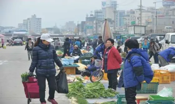 농업인새벽시장