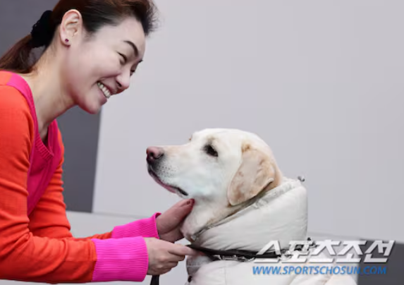 정치적 철학