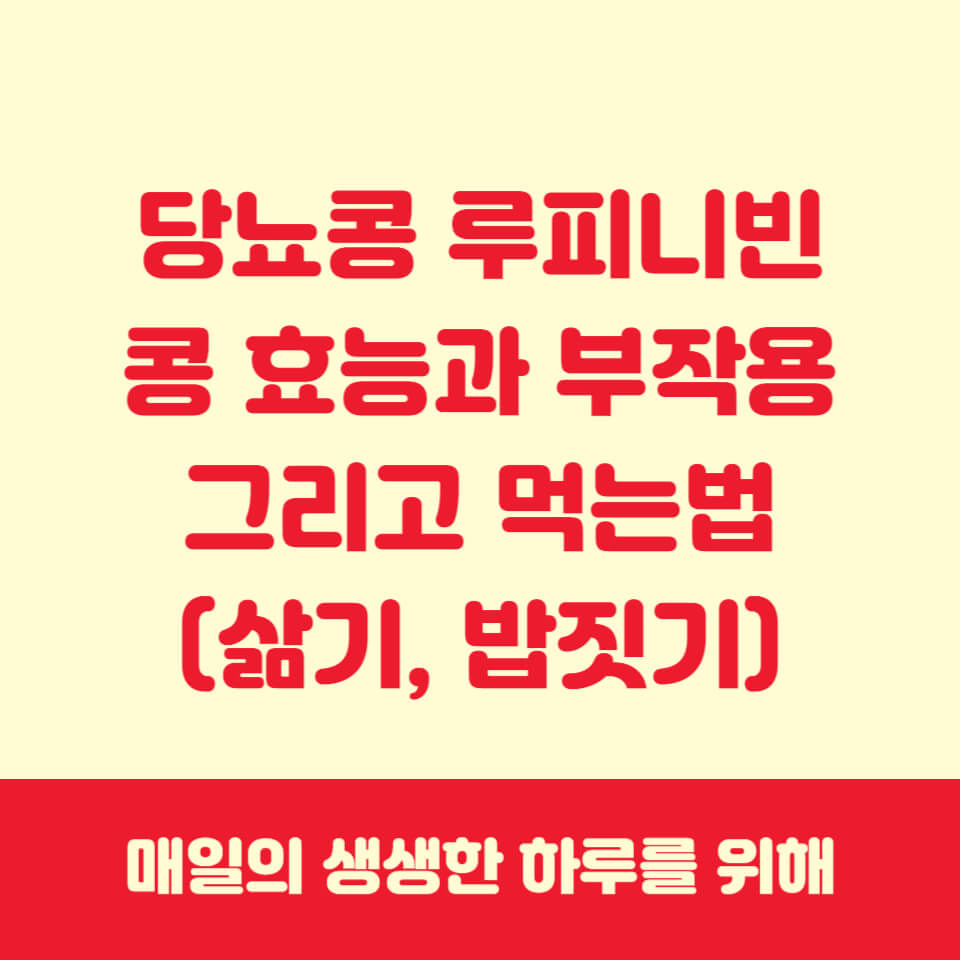 루피니빈효능